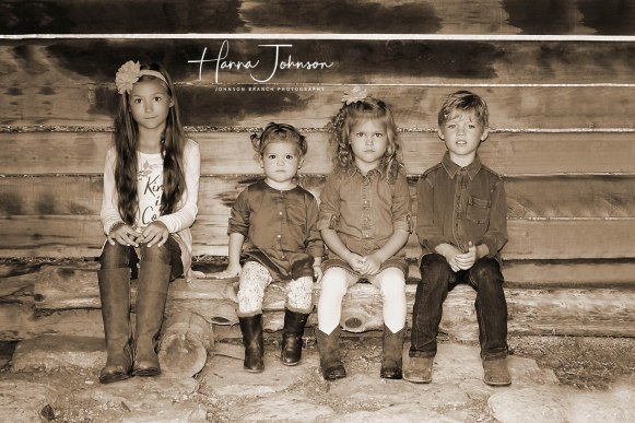 DSC06915 edt sepia cprt