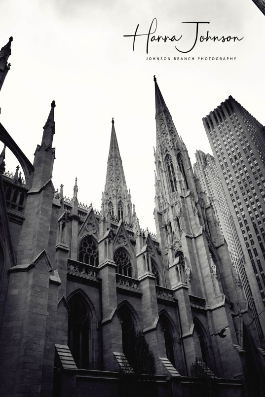 SONY DSC